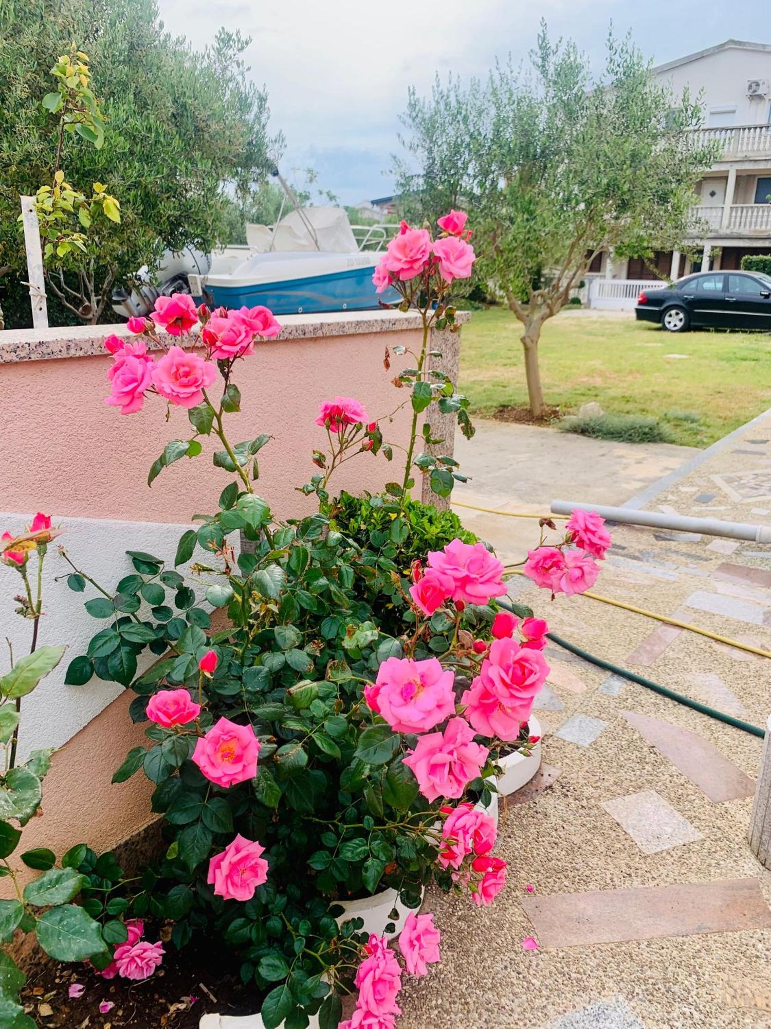 Apartments Barbara 111 วีร์ ภายนอก รูปภาพ
